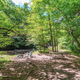 Campspot slideshow image 5