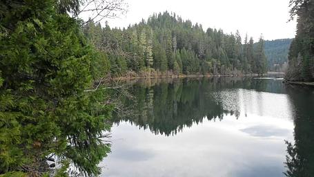 Nearby Toketee Lake