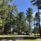 A campground with tall pine trees, RV trailers, and parked vehicles under a clear blue sky with a few wispy clouds.