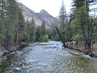 Upper Pines Campground