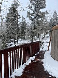 Limber Flag Yurt