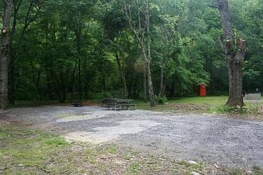 CATALOOCHEE HORSE CAMP SITE WITH PICNIC TABLE