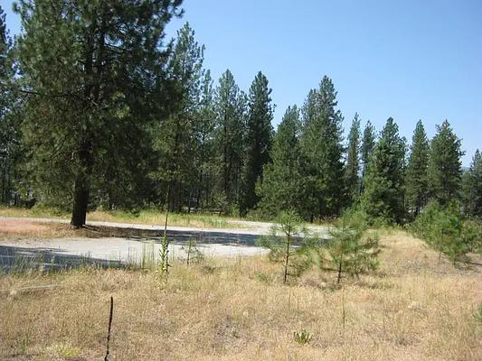 001, Loop: EVANS GROUP SITE