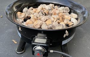 Family & Fido-friendly Travel Trailer Rental