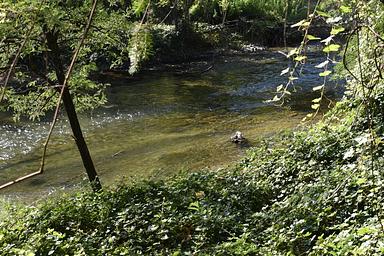 Clear Creek at Peltier Bridge Campground alternate view