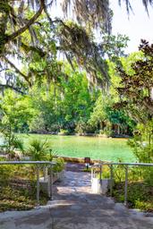 Salt Springs Recreation Area