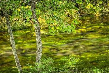 RIVERSIDE CAMPGROUND