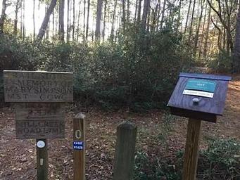 Neusiok Trailhead next to campground 
