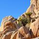 Rocks at Indian Cove, Joshua Tree National Park