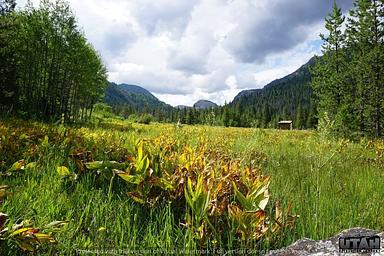 LEDGEFORK CAMPGROUND