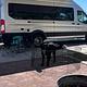 2020 Coachmen RV Beyond 22C RWD