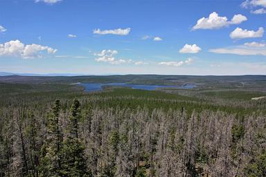 Spruce Mountain Fire Lookout Tower views3
