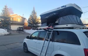 Seahorse - 2017 Dodge Grand Caravan