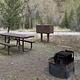 Wapiti Campsite 13, picnic table, fire ring, trees  