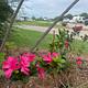 Cajun Acres RV Park