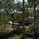 Forested campsite with a tent, picnic table, and RV