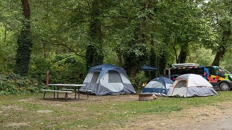 level campsite with table and fire ring.jpeg
