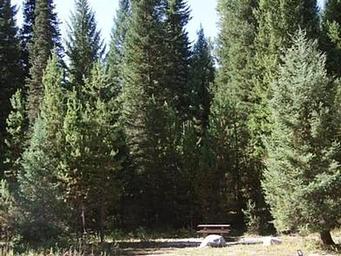 PEACE VALLEY CAMPGROUND-Campsites