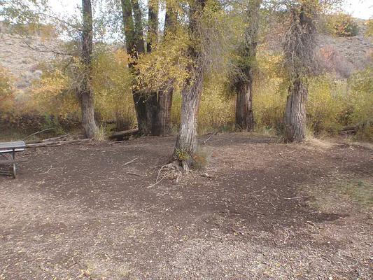 001, Loop: RED CREEK GROUP SITE