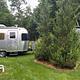Date my Airstream.  Kid and Pet Friendly!