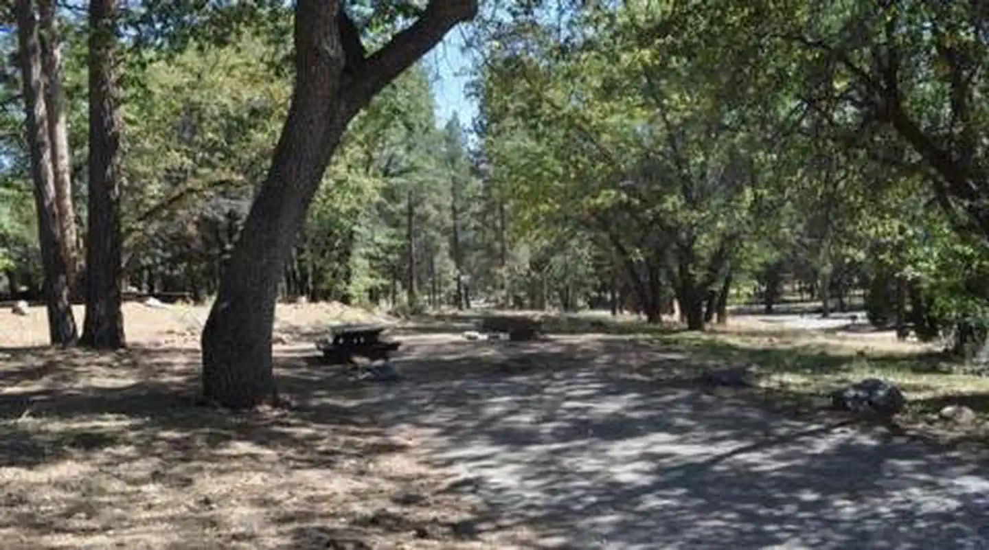 San Gorgonio
