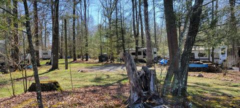 Another perspective of RV/campsite area with trailers and grassy camping pads among trees — useful alternate campsite view for the gallery.