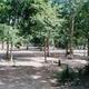 Campspot slideshow image 5