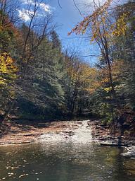 Campground image 4