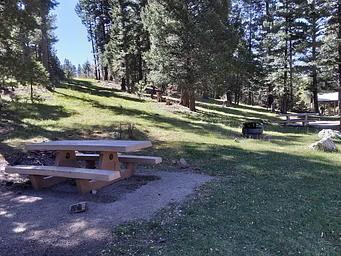 Shaded picnic area