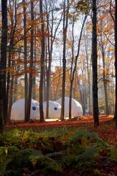 Camp Ferncrest - Promised Land