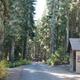 Takhlakh Lake Campground road