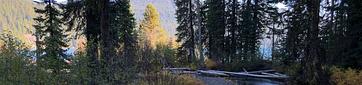 Trapper Creek Campground