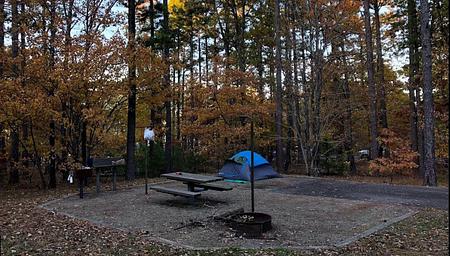 Winding Stair Campsites