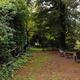 Clearing campsite area with Adirondack chairs, picnic table and surrounding redwood trees — useful for showing on‑site campsite seating/grounds. Image comes from the property’s reservations page (social image variant) so it matches the campground.