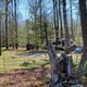Another perspective of RV/campsite area with trailers and grassy camping pads among trees — useful alternate campsite view for the gallery.