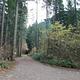 BOGUS CREEK CAMPGROUND