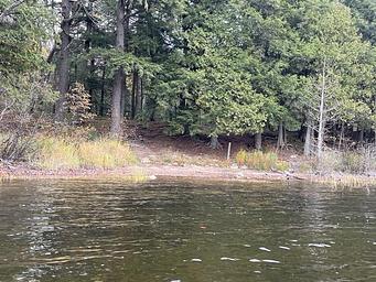 The shore of a lake with trees and a campsite marker post in the distance.