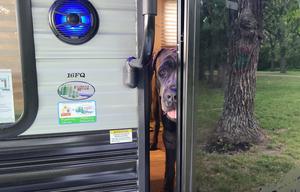 2021 Forest River RV Cherokee Wolf Pup 16FQ