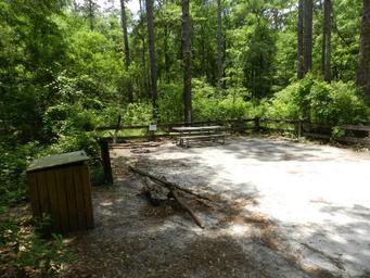 Longleaf