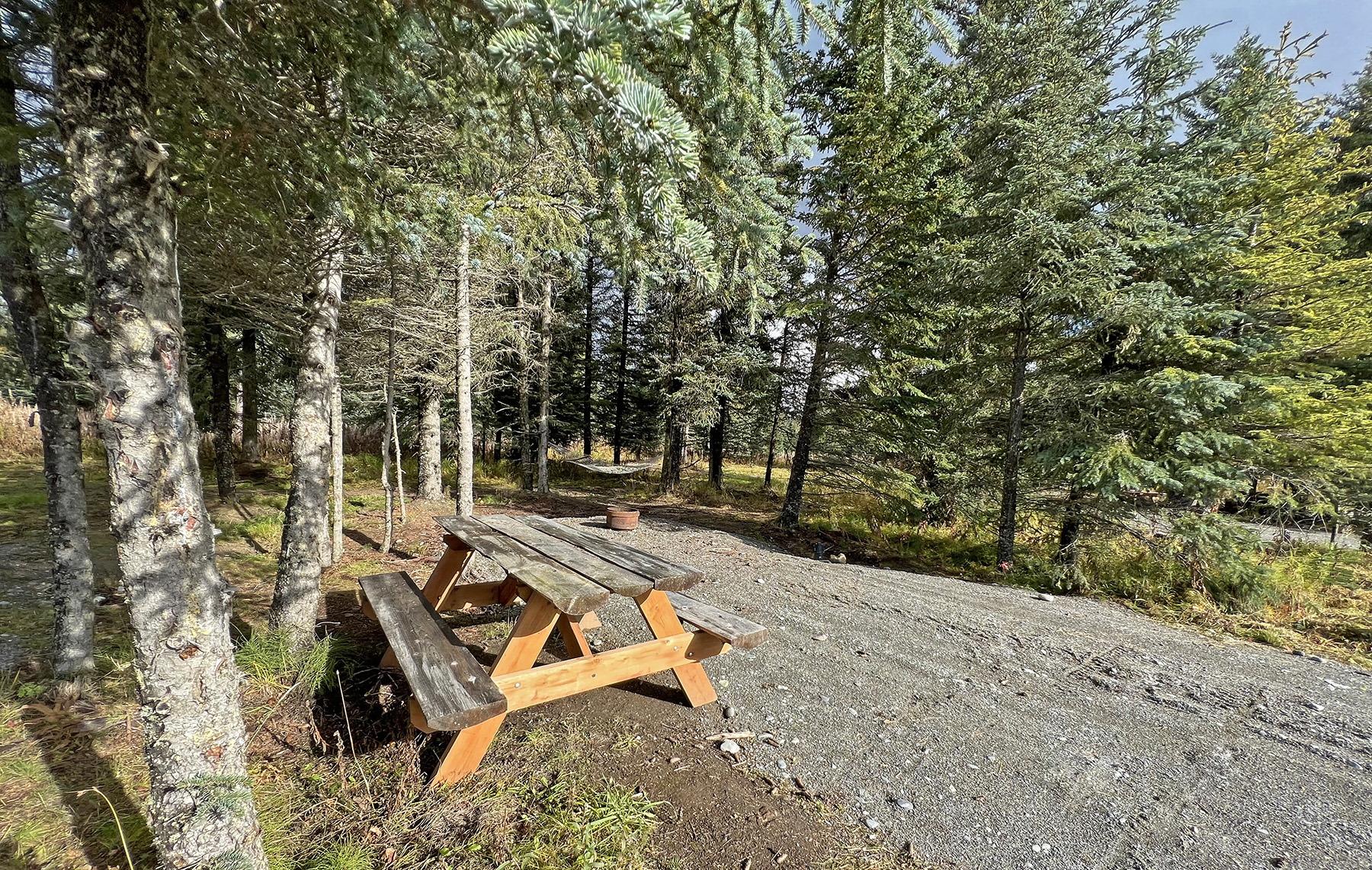 Blue Spruce Campground