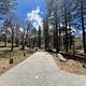 Mountain Oak Campground - Site 4