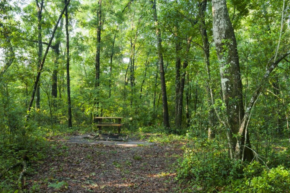 Black Creek Ravines Conservation Area SJRWMD