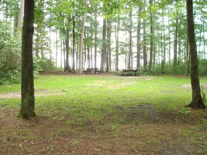 Winnie Campground - USFS