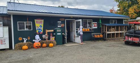 Exterior of the camp store / office decorated with seasonal pumpkins — useful to show on-site services and the campground hub (image from site showing the store building).