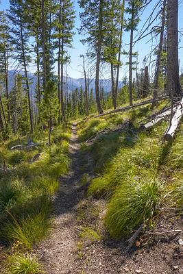 01, Loop: AREA MEDICINE POINT LOOKOUT