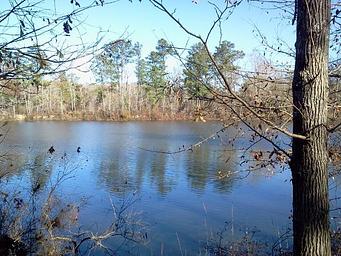 Campground image 3
