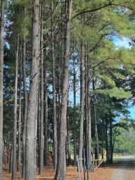 Kickin' Back Acres RV Campground