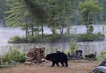 Lake Dean Campground