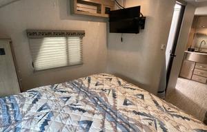 Roomy and sleek: 2020 Forest River RV R Pod RP-196