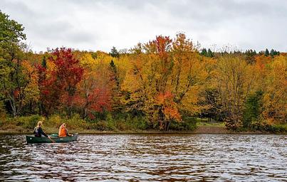 A view from the river facing the land. A canoe with two paddlers paddle towards a forest with vibrant red and yellow leaves on the canopies of the trees.